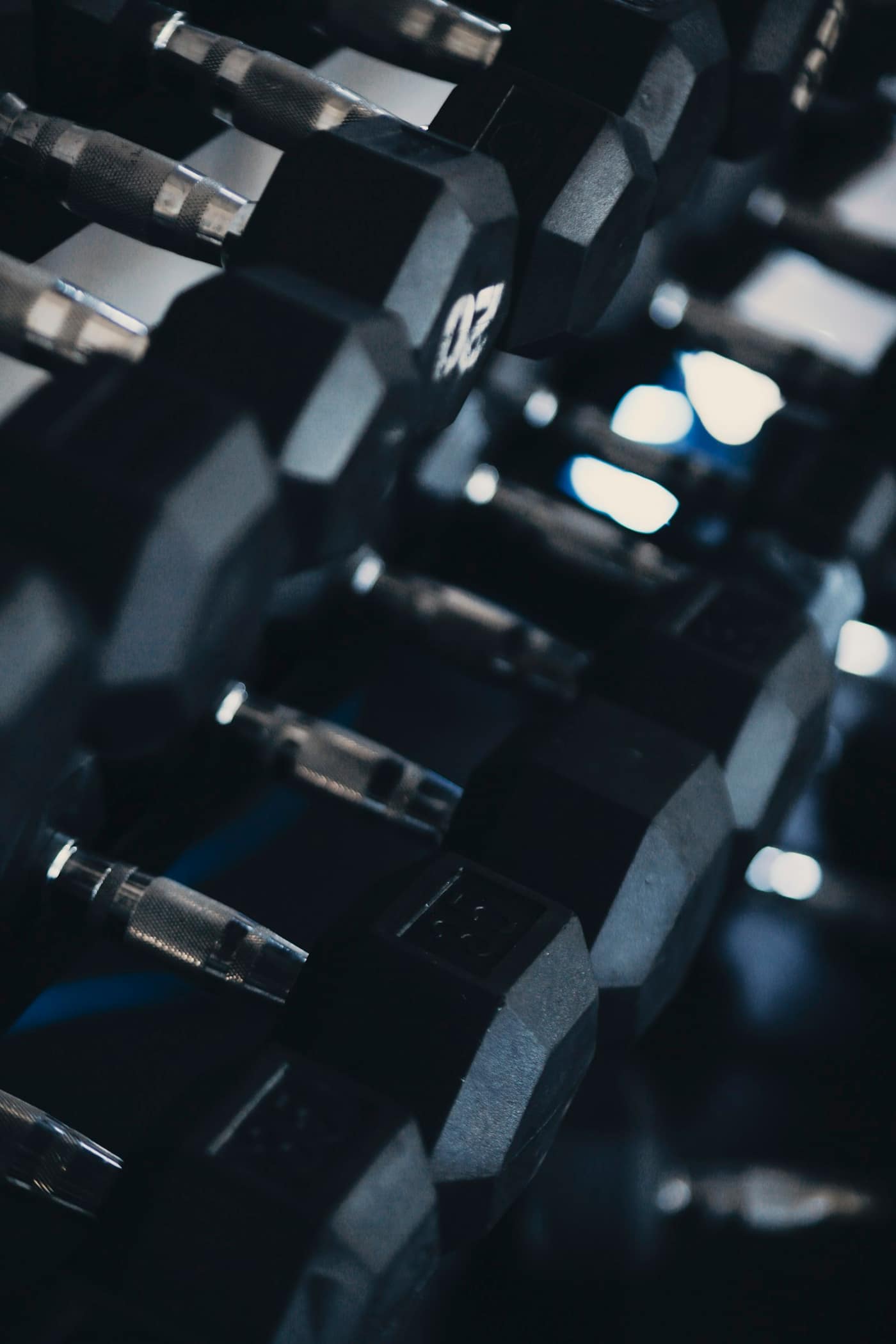 Dumbbells on a gym rack