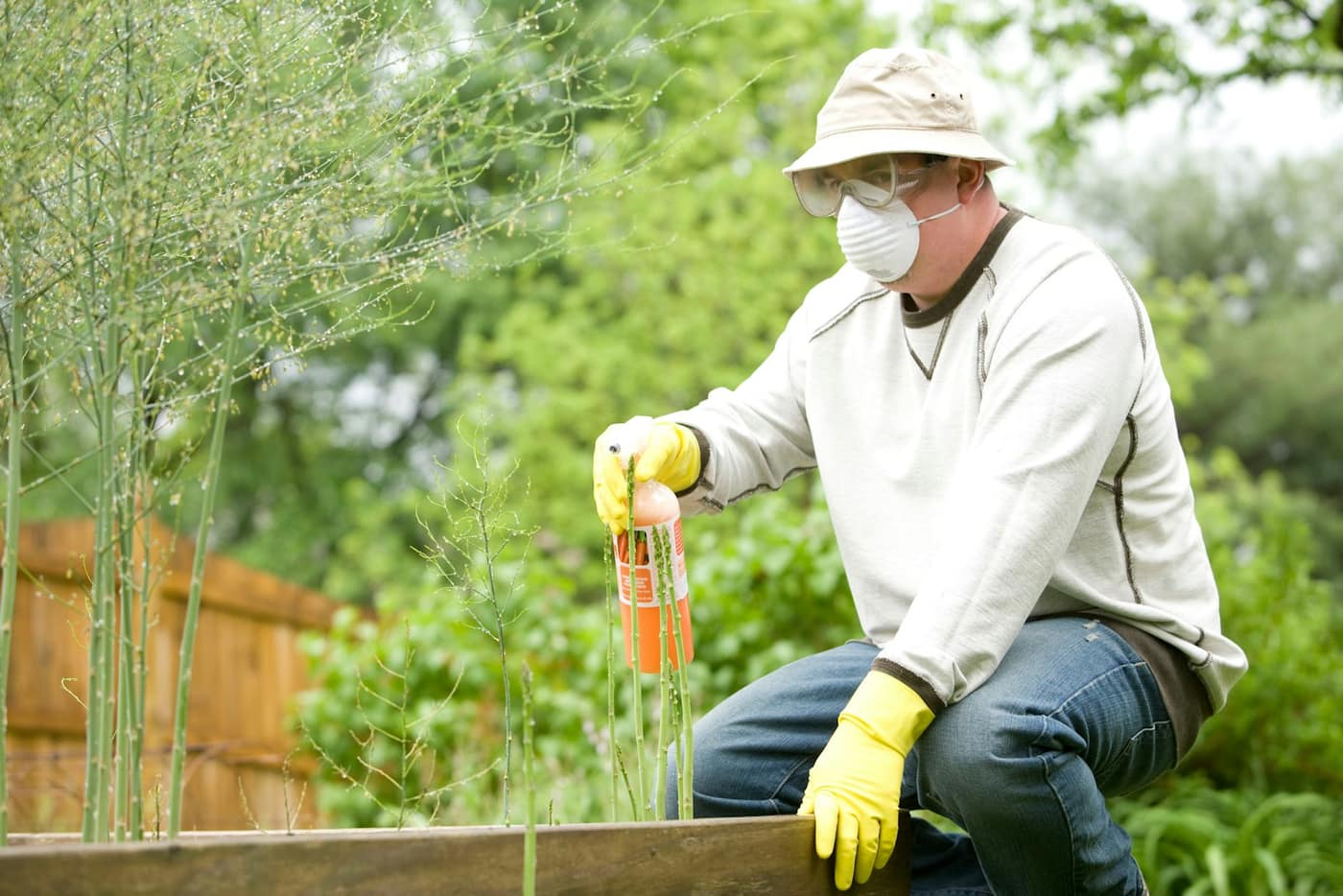 A pest control technician treating a property